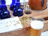 "Double Barrel" 2-gallon beer making kit with 8 cobalt blue bottles